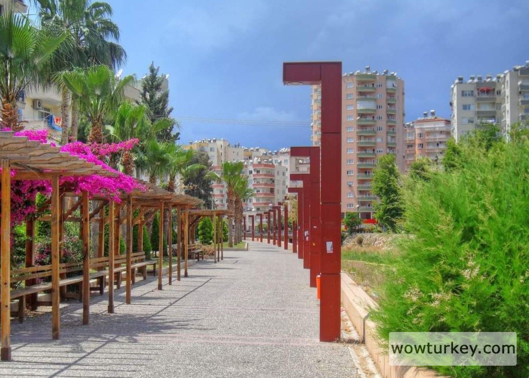 FB_IMG_1710069246339