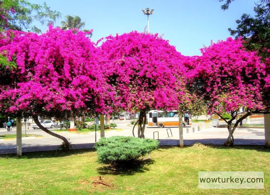 FB_IMG_1710069330034