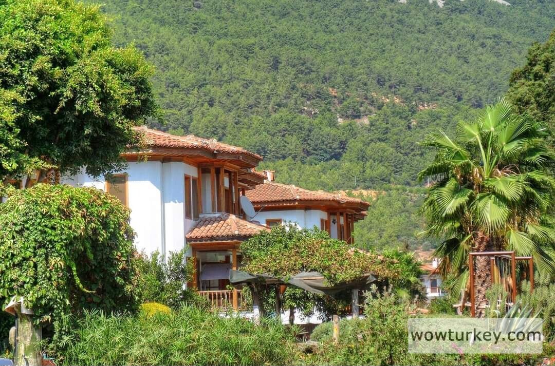 FB_IMG_1710697239930