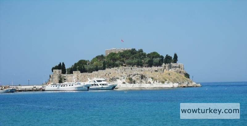 FB_IMG_1710762806234