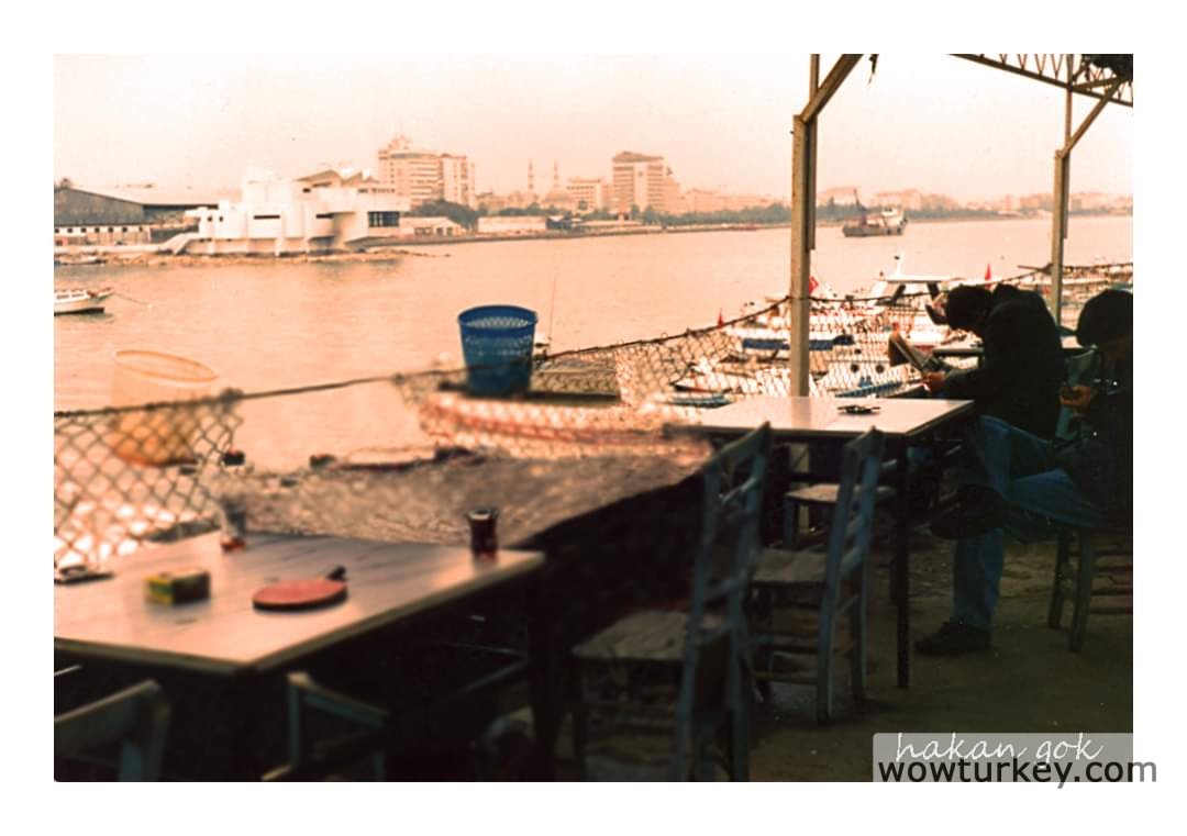 FB_IMG_1711149802597