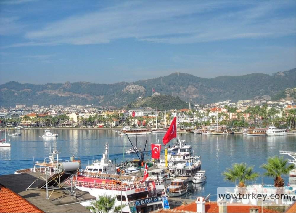 FB_IMG_1711736231269