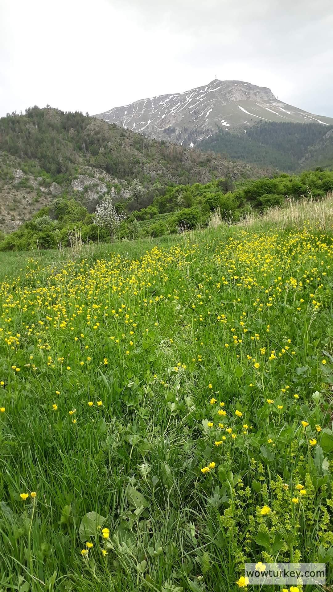 FB_IMG_1715704161874