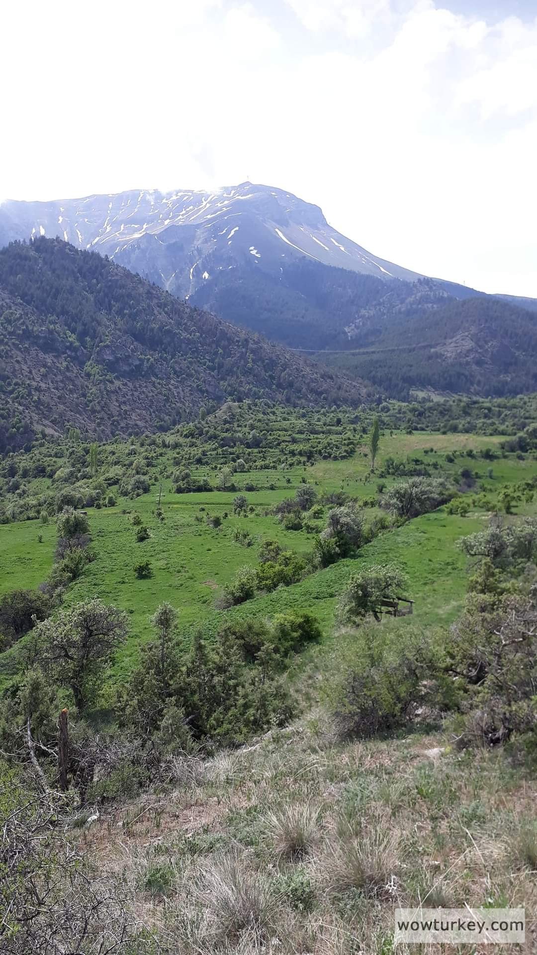 FB_IMG_1715704182800