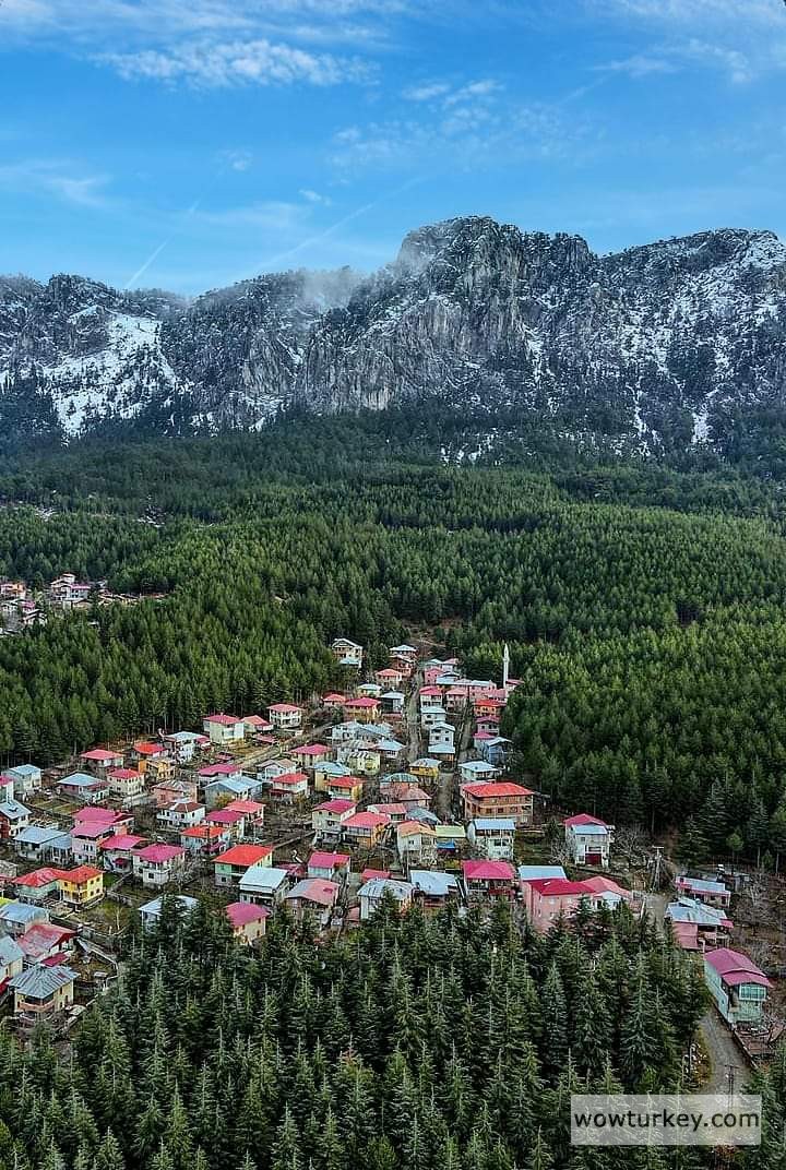 FB_IMG_1718531154738