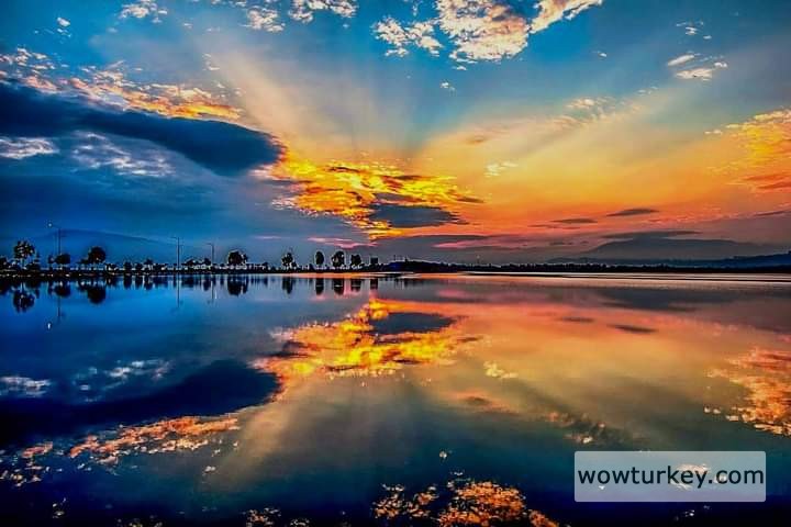 FB_IMG_1718906808694