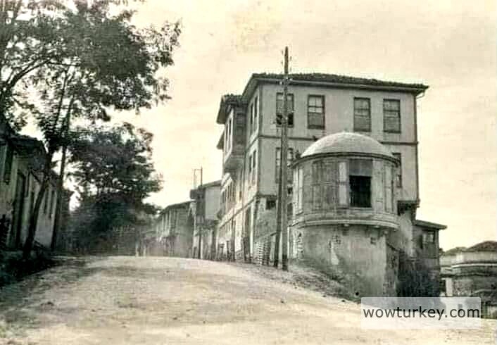 fehimpaşakonağıçekirge