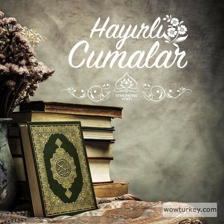 ff552570985e7e3272ea9565d0a571c2