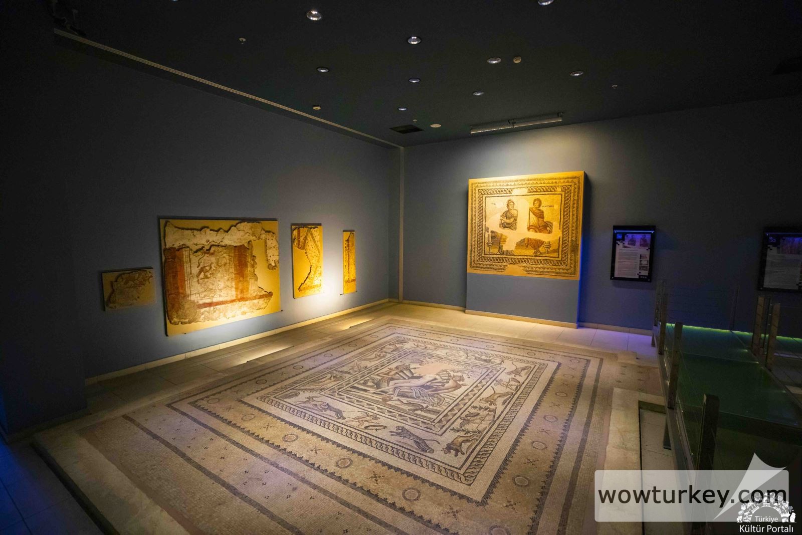 Gaziantep Zeugma Mozaik Müzesi (4)