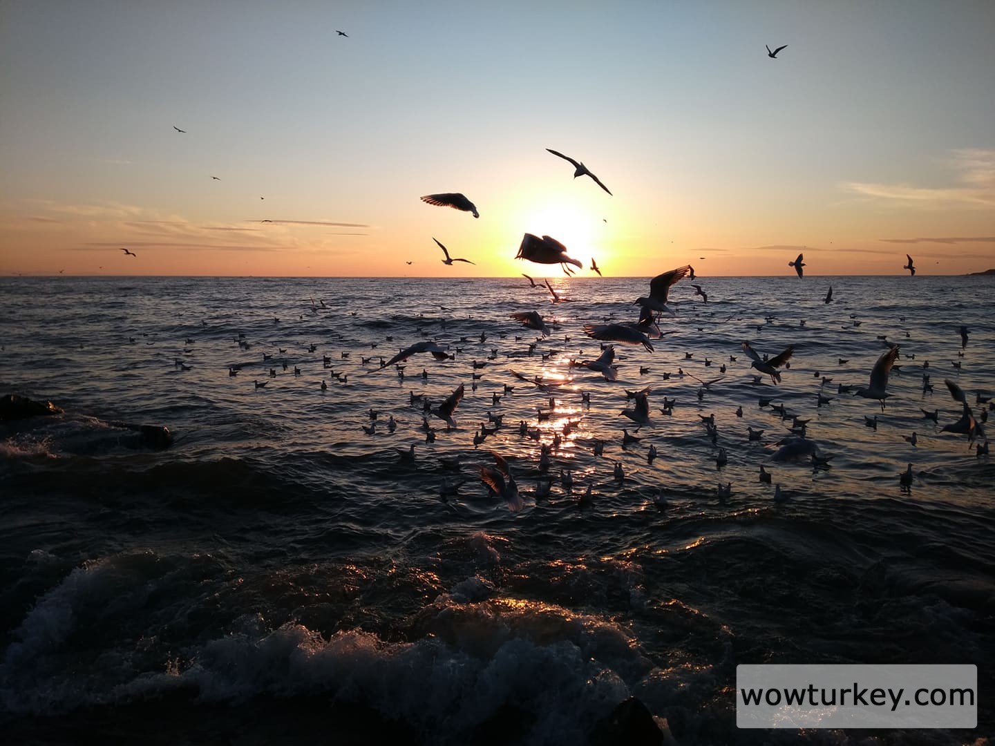 Gürpınar2.28.11.2021