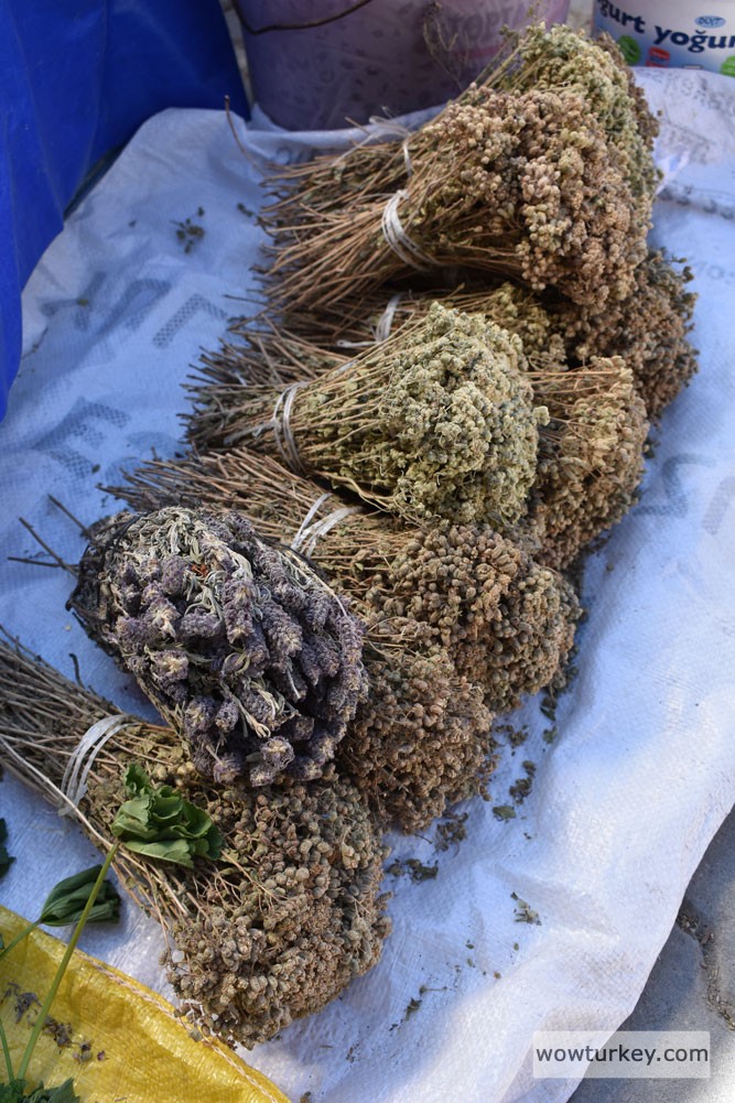 havran-koylu-pazari-00012