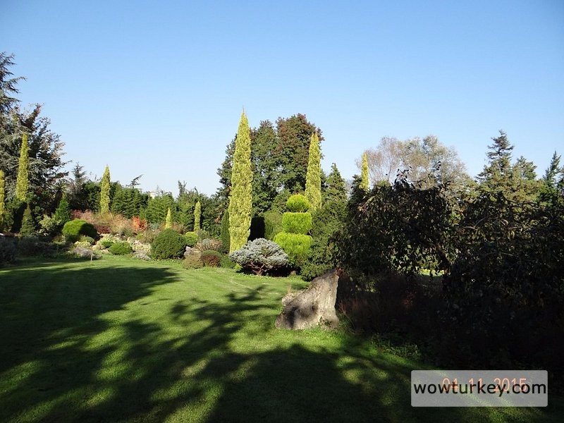 hayrettin-karaca-arberotumu