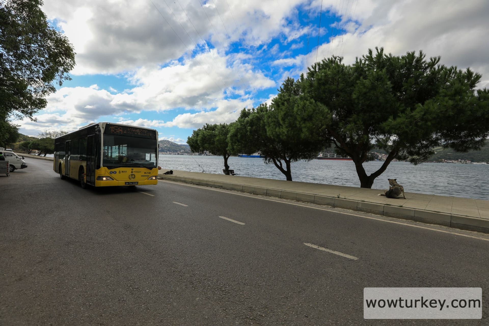 IETT_PLAJLARA_SEFER_6_a7b6b38d39