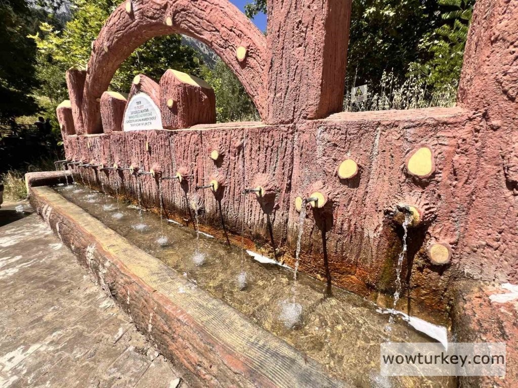 IHA-20240620AW230798-3-t