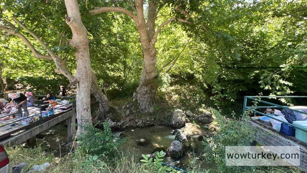 IHA-20240620AW230798-5-t