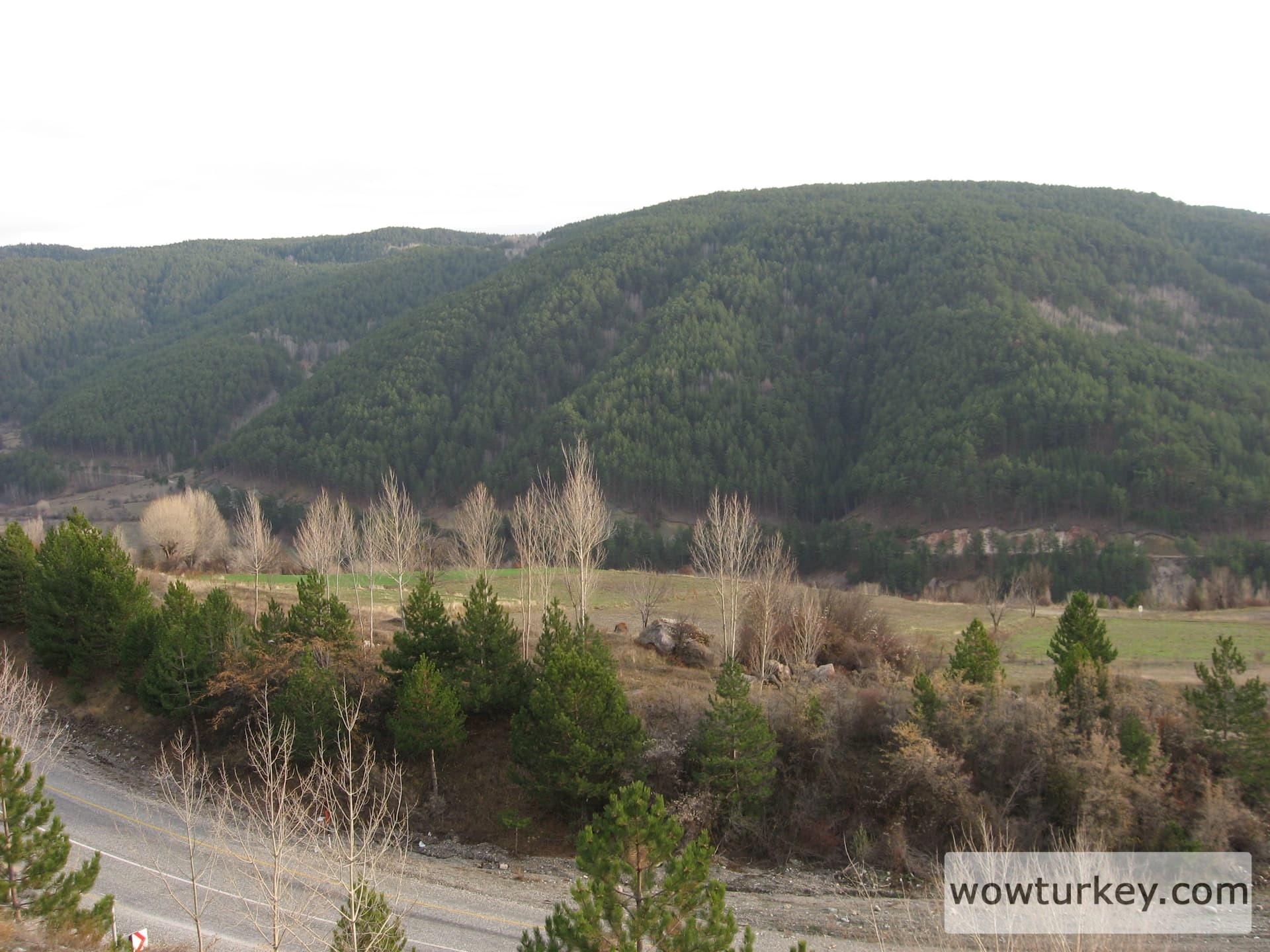 ilgazdan resimler (10)