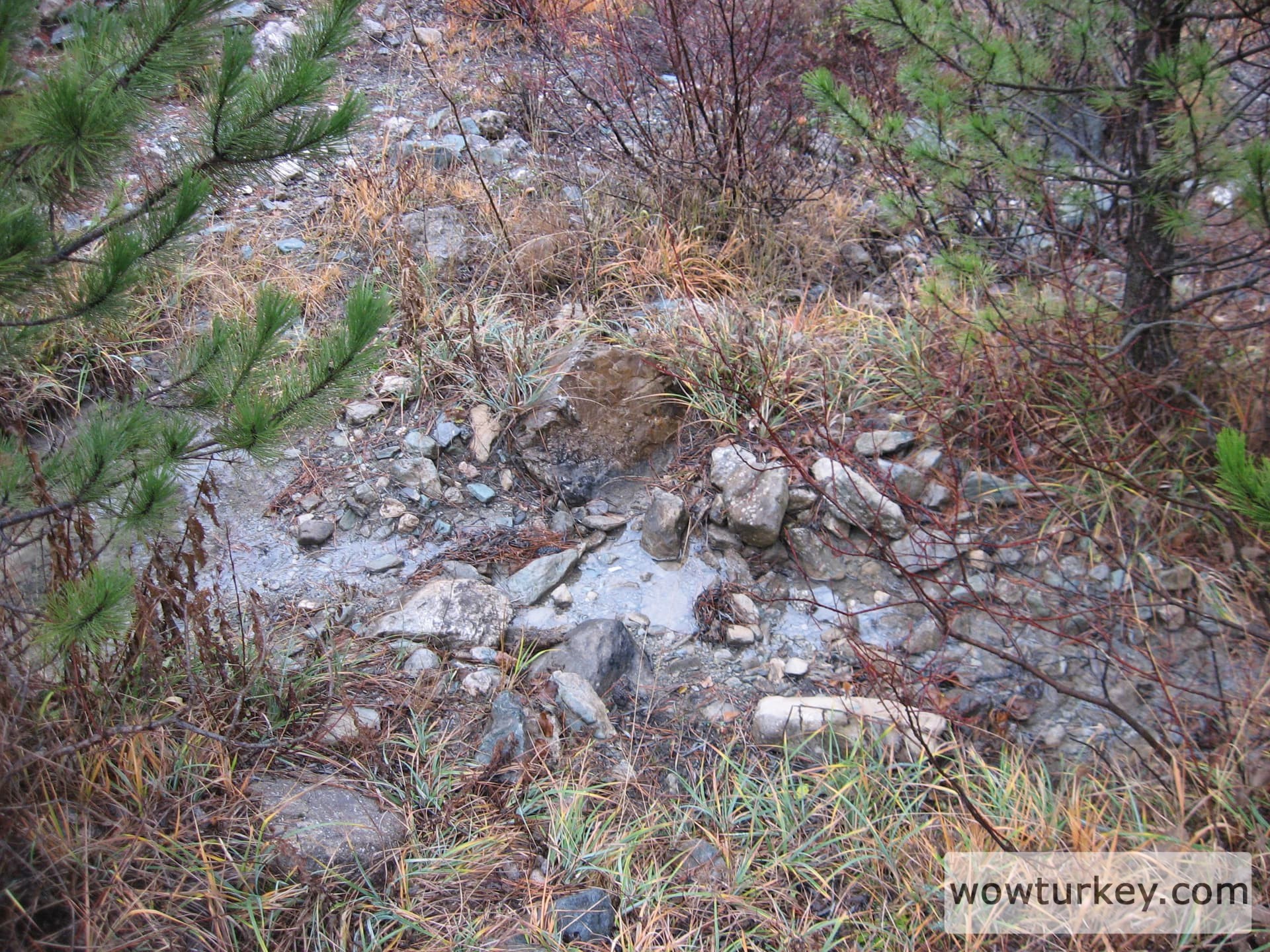 ilgazdan resimler (100)