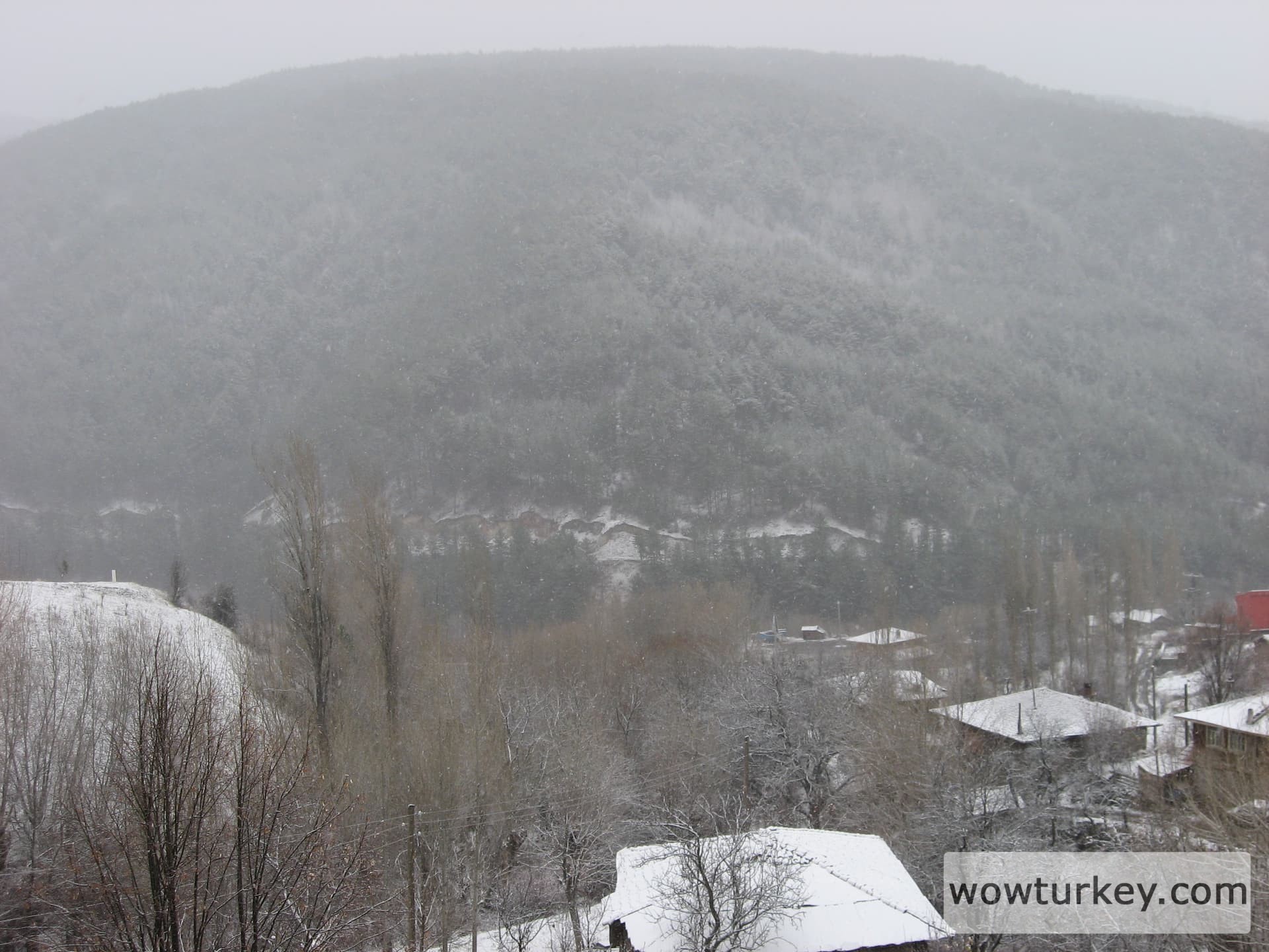 ilgazdan resimler (110)