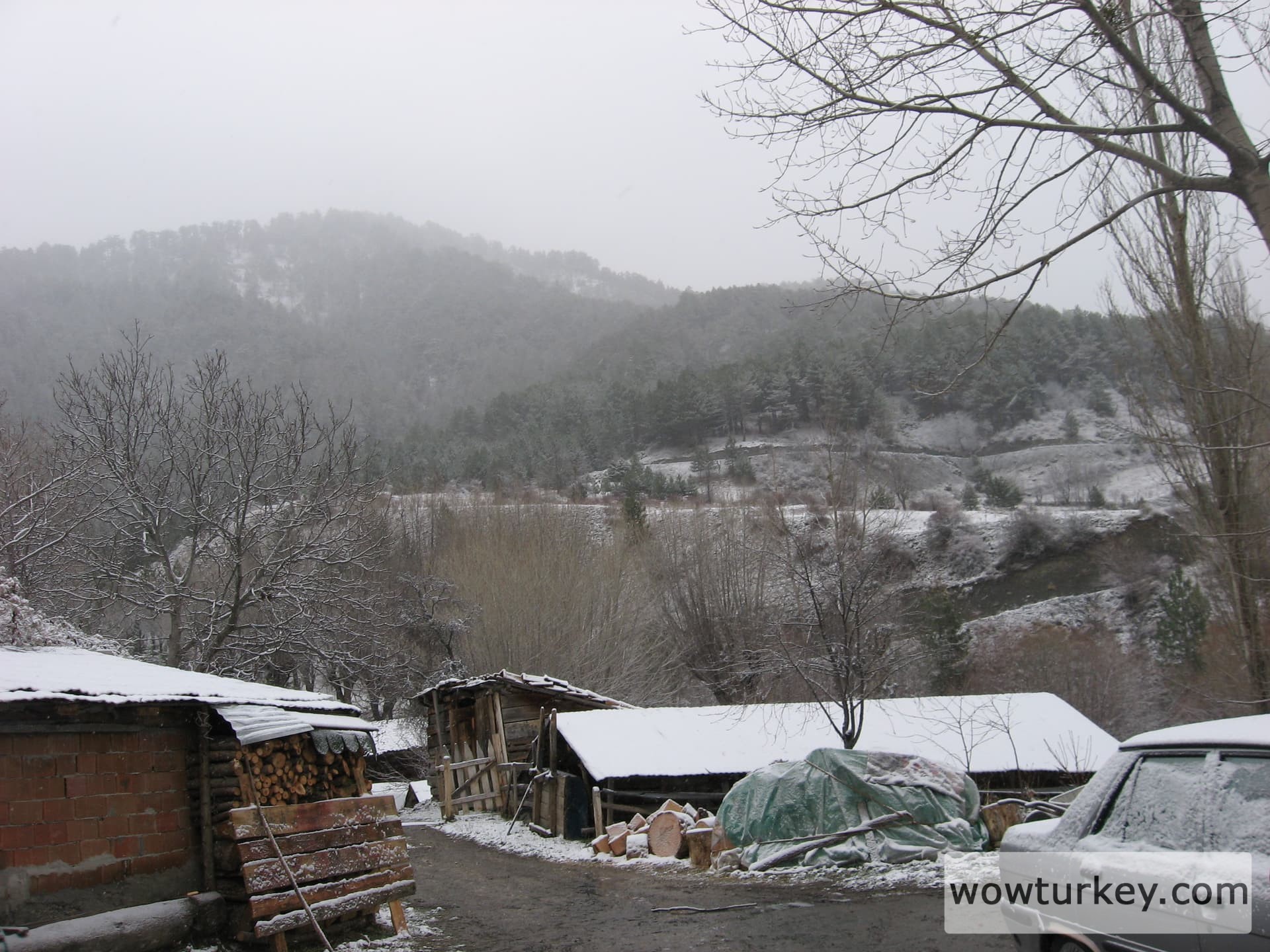 ilgazdan resimler (113)