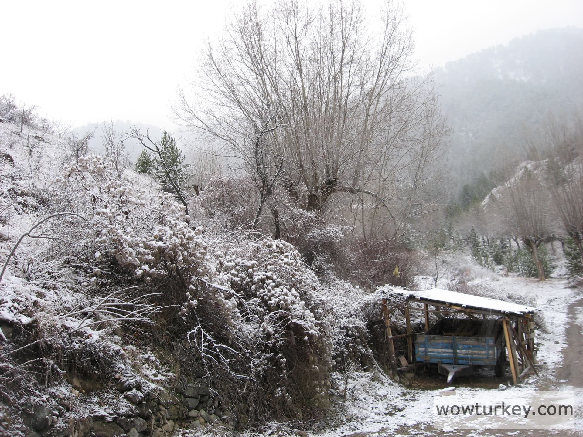 ilgazdan resimler (114)