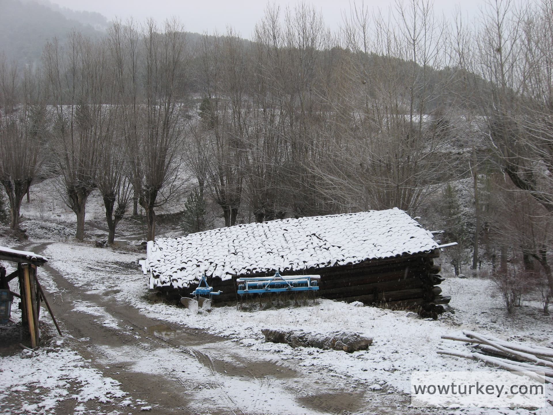 ilgazdan resimler (115)