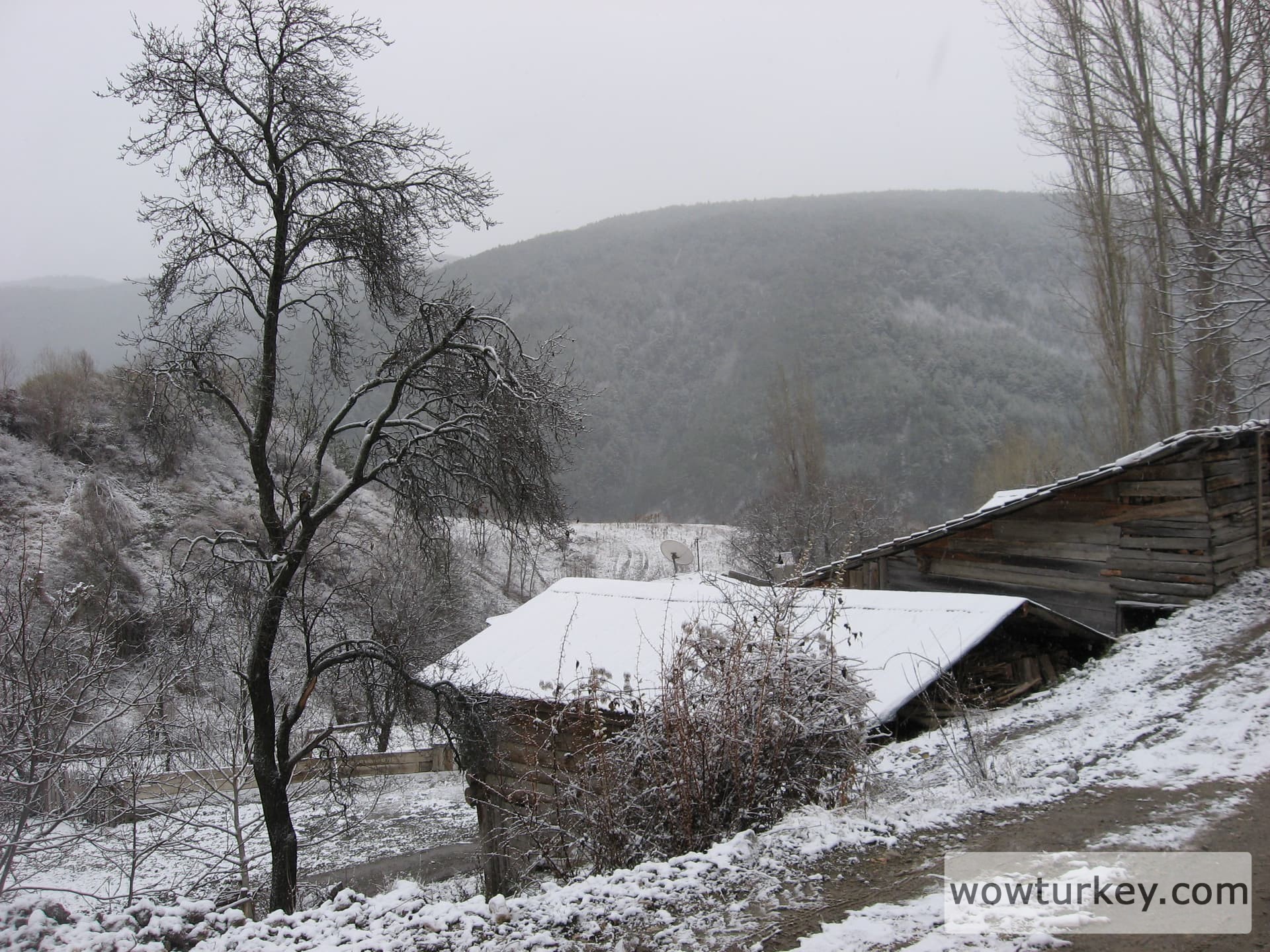 ilgazdan resimler (116)