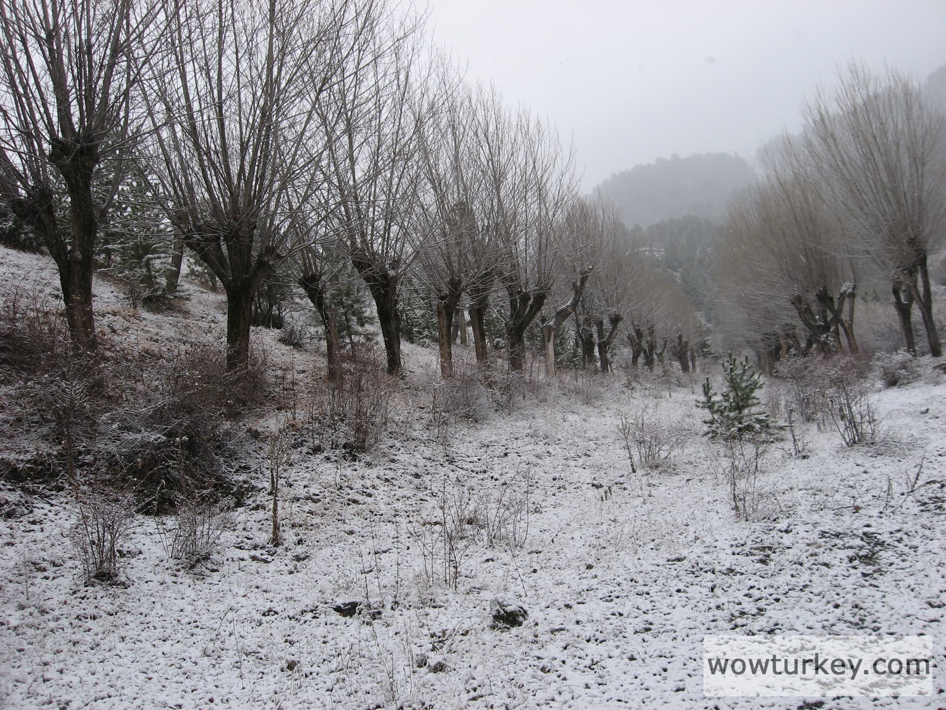 ilgazdan resimler (118)