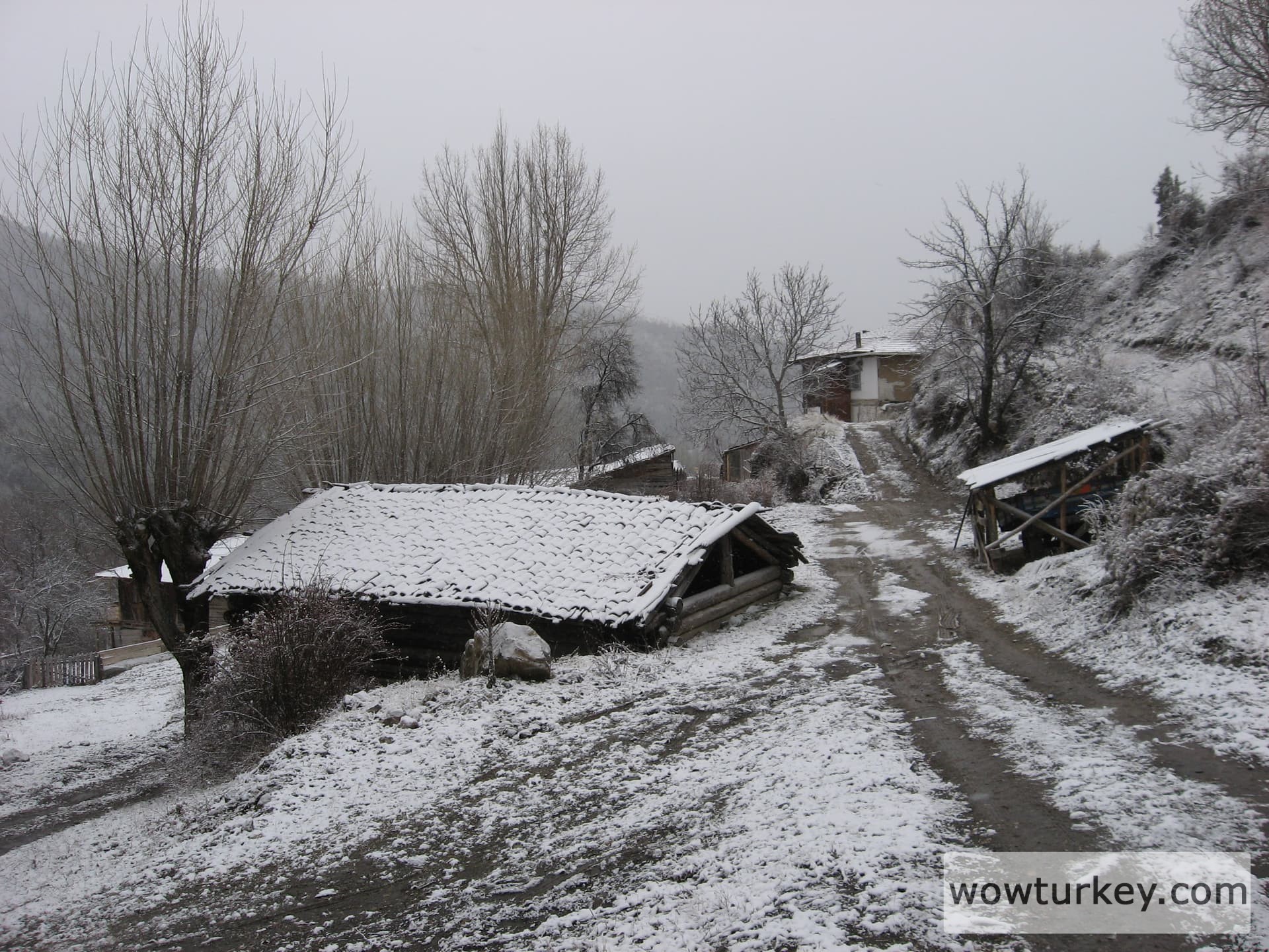 ilgazdan resimler (120)