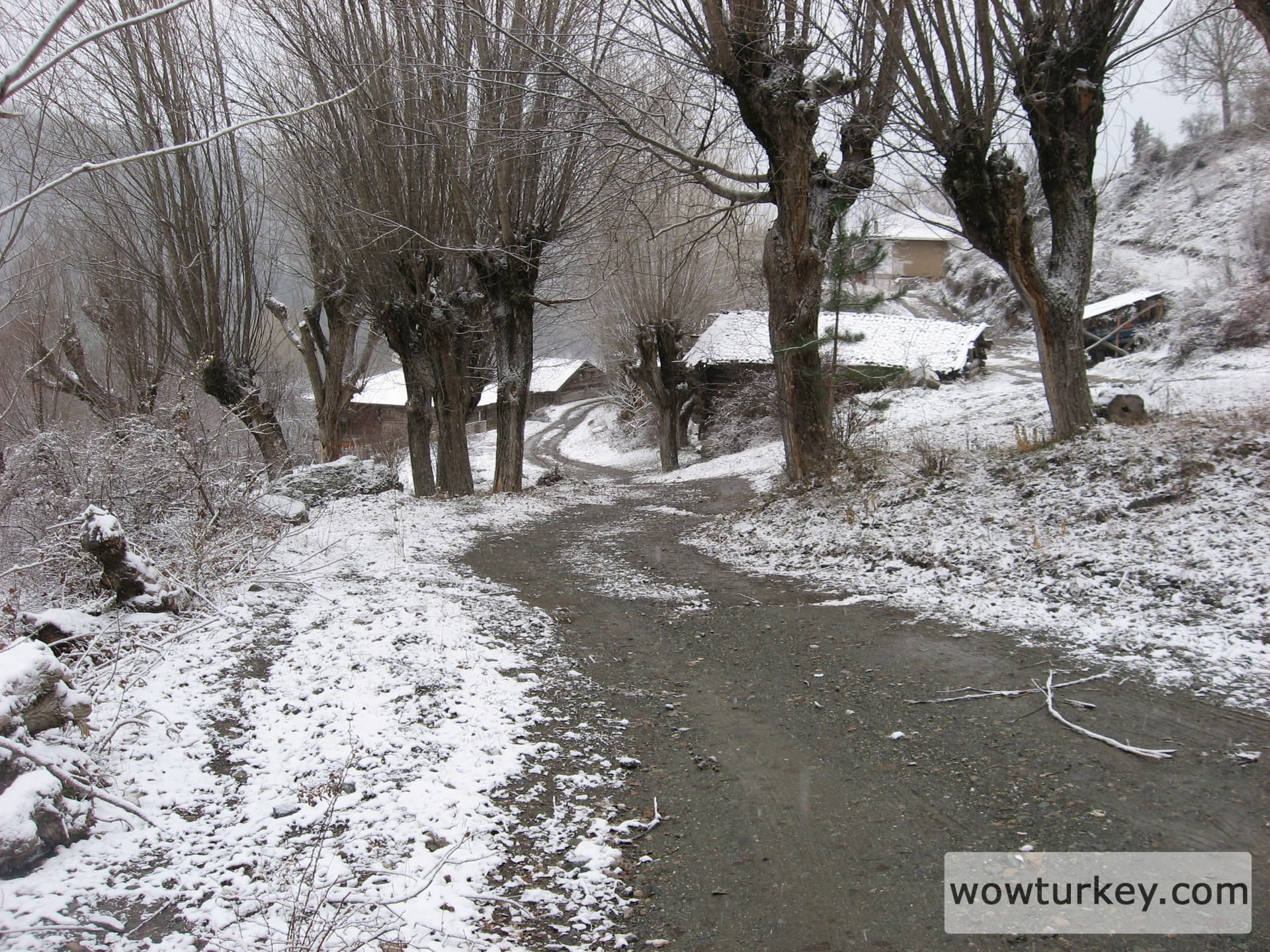 ilgazdan resimler (122)