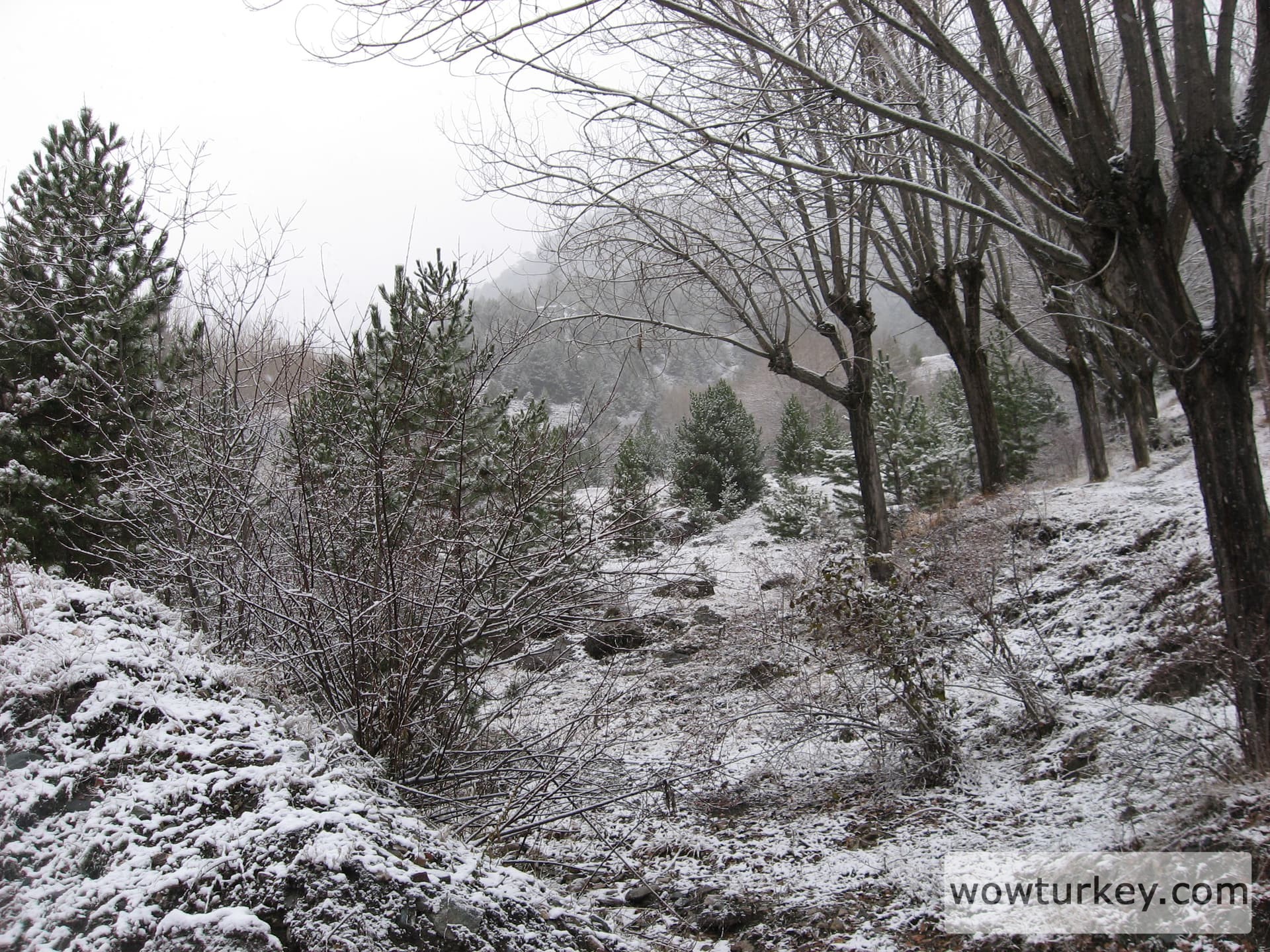 ilgazdan resimler (123)