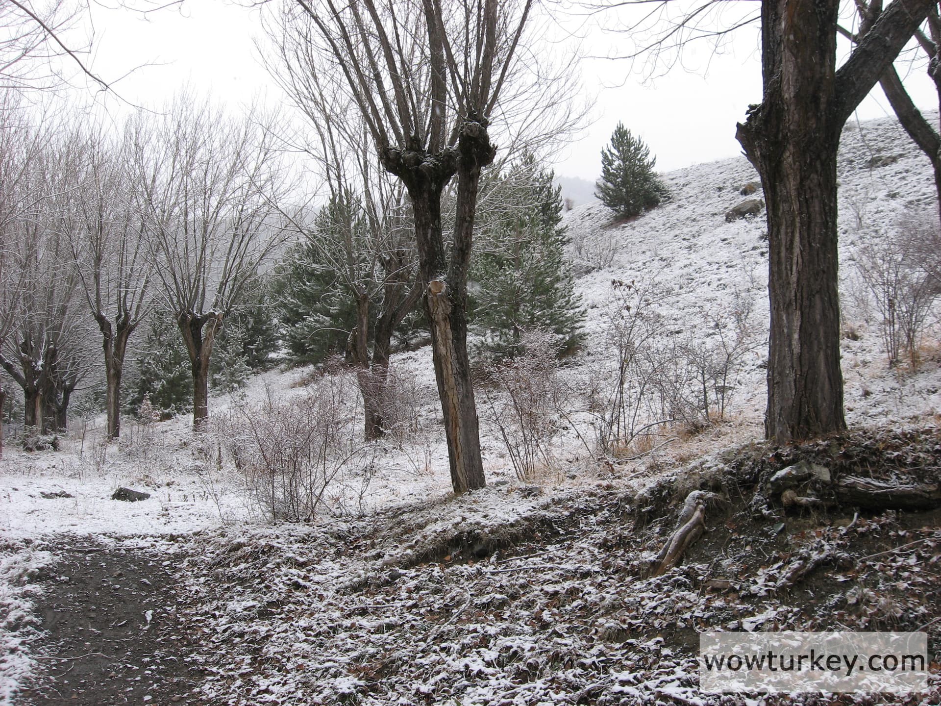 ilgazdan resimler (124)