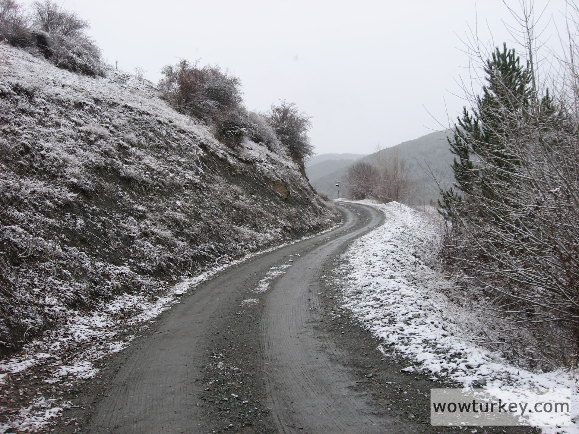 ilgazdan resimler (125)