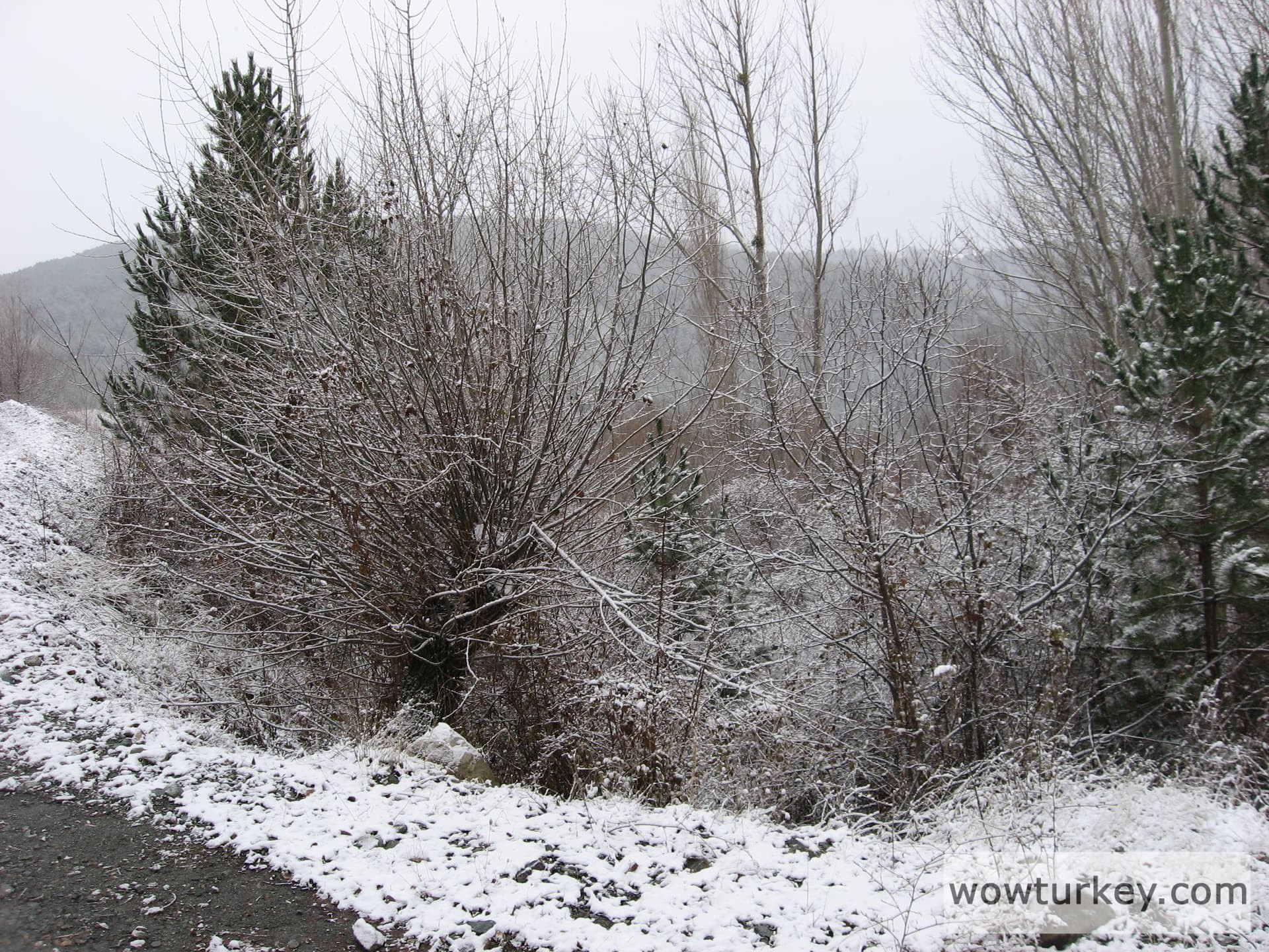 ilgazdan resimler (126)