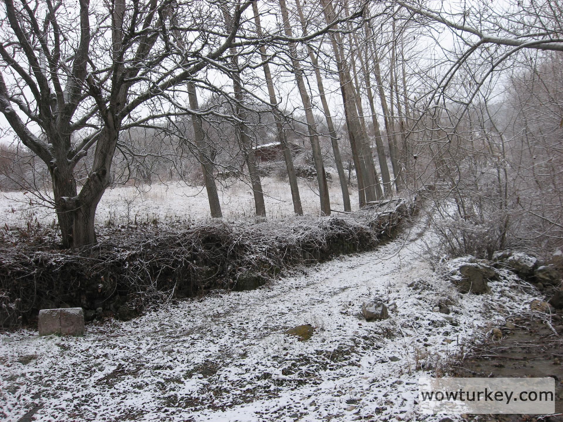 ilgazdan resimler (130)