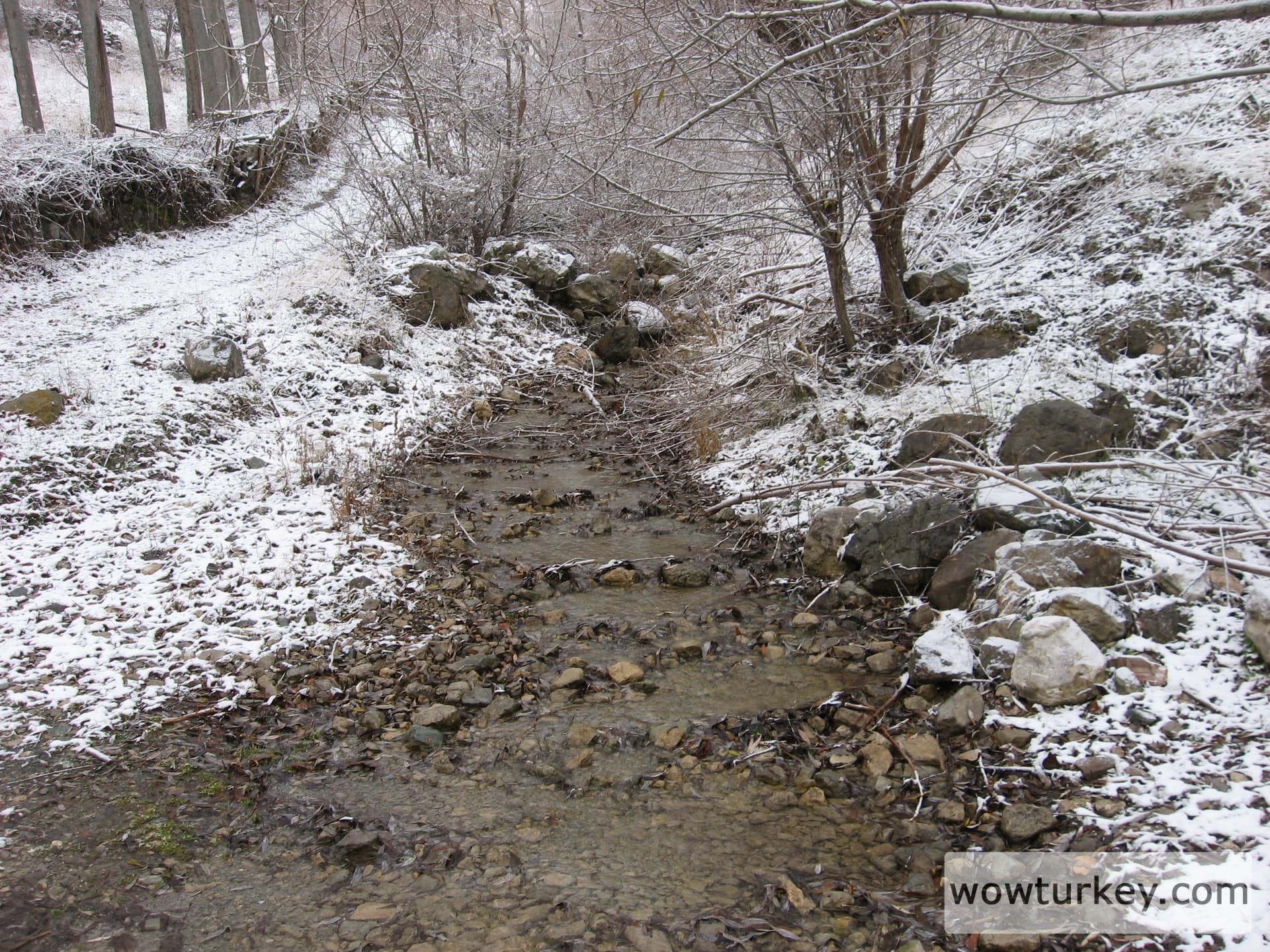 ilgazdan resimler (131)