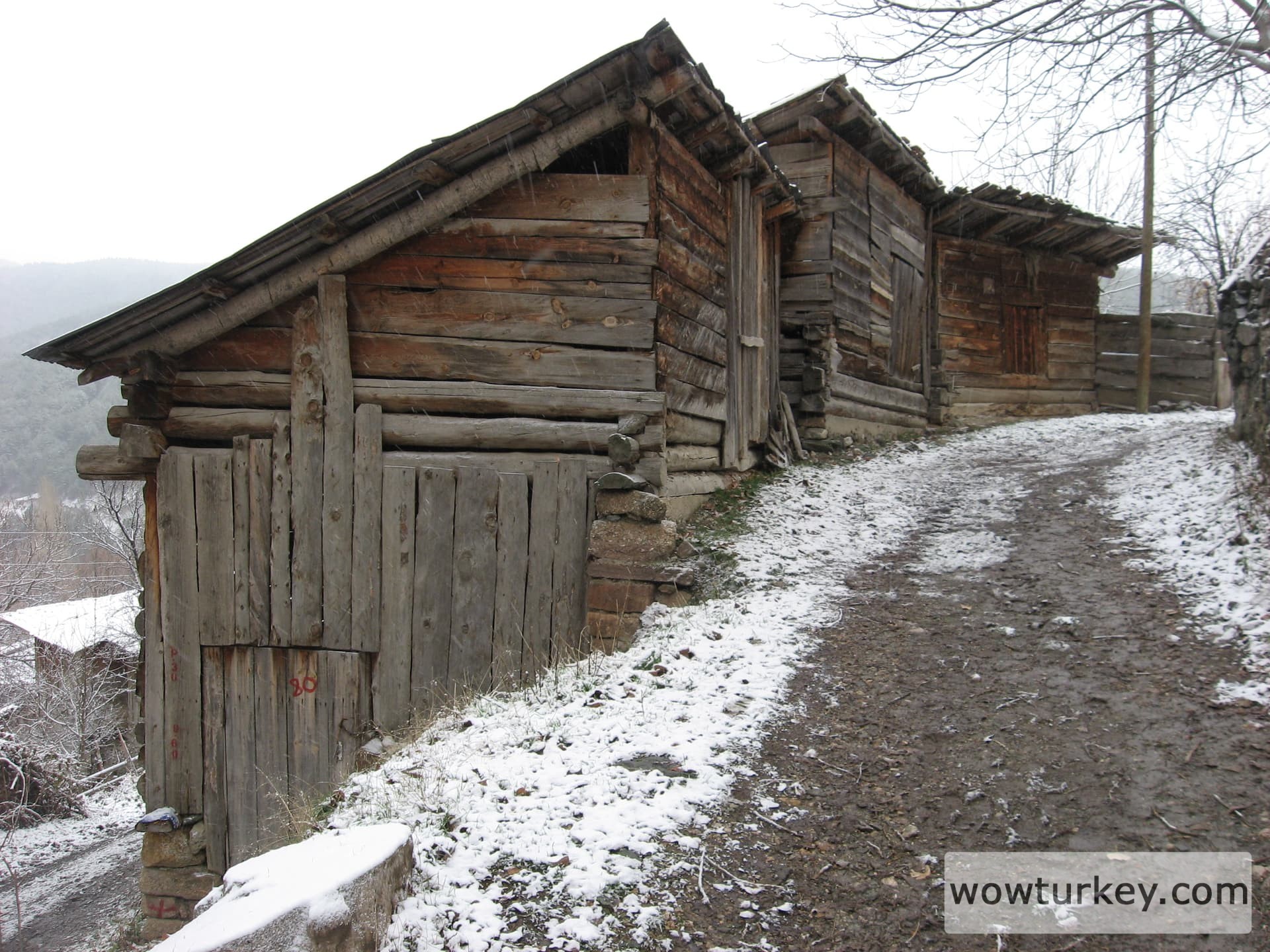 ilgazdan resimler (135)