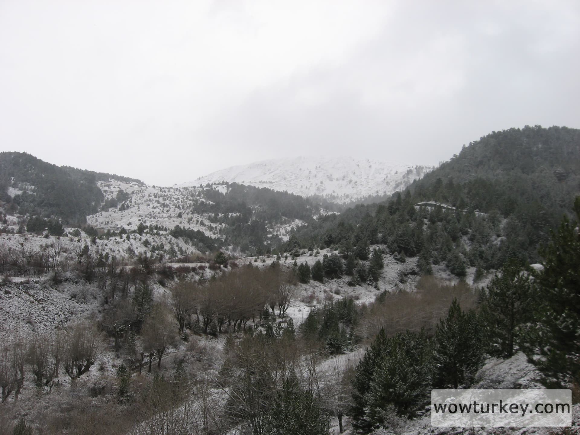 ilgazdan resimler (139)