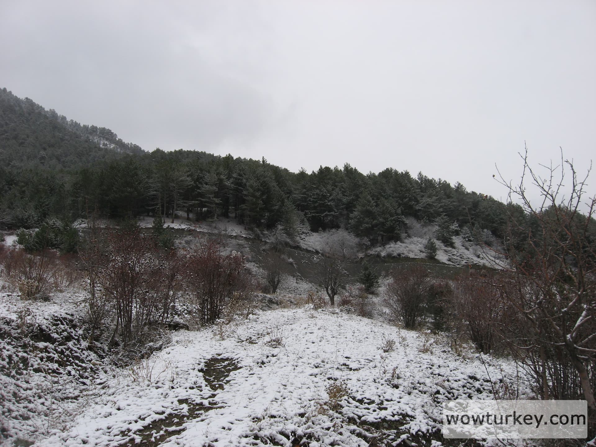 ilgazdan resimler (140)