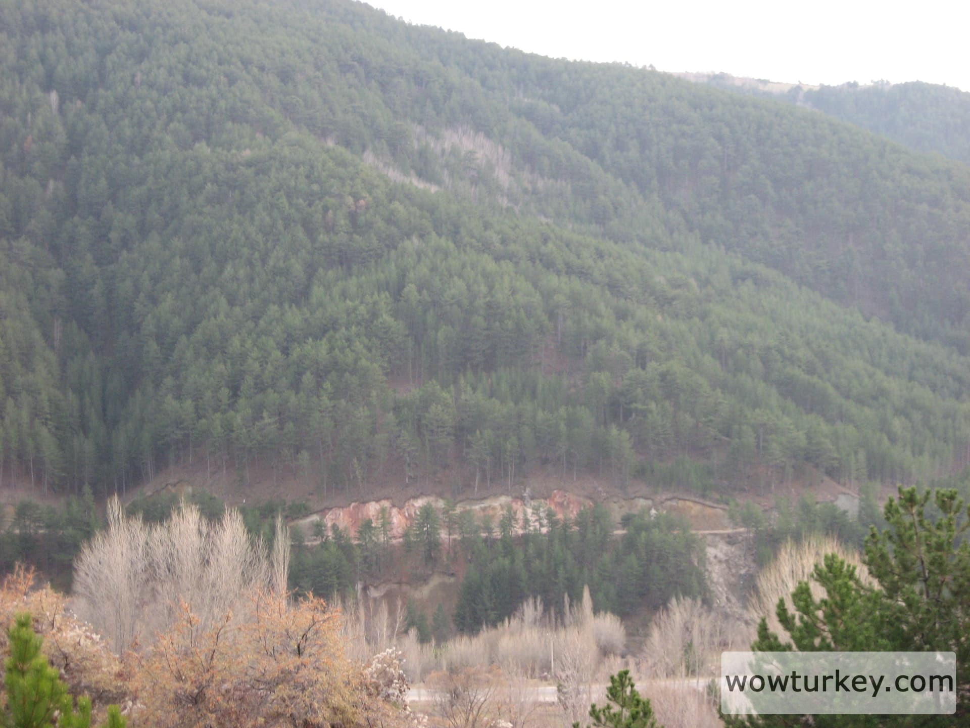 ilgazdan resimler (22)