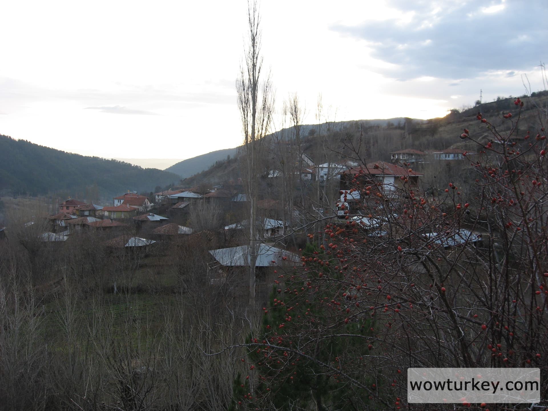 ilgazdan resimler (24)