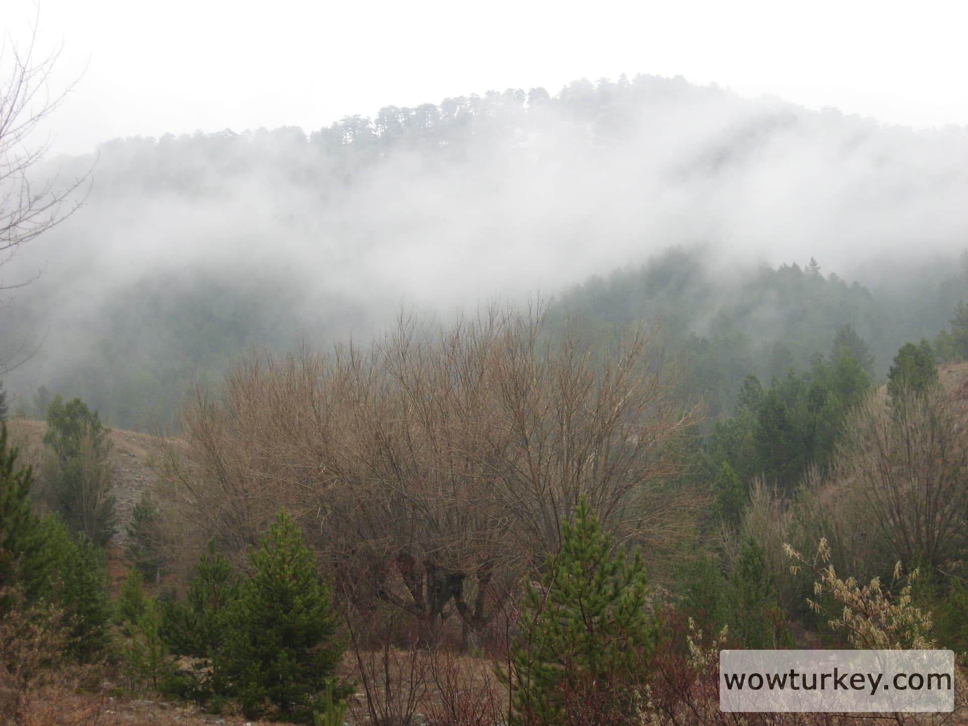 ilgazdan resimler (43)