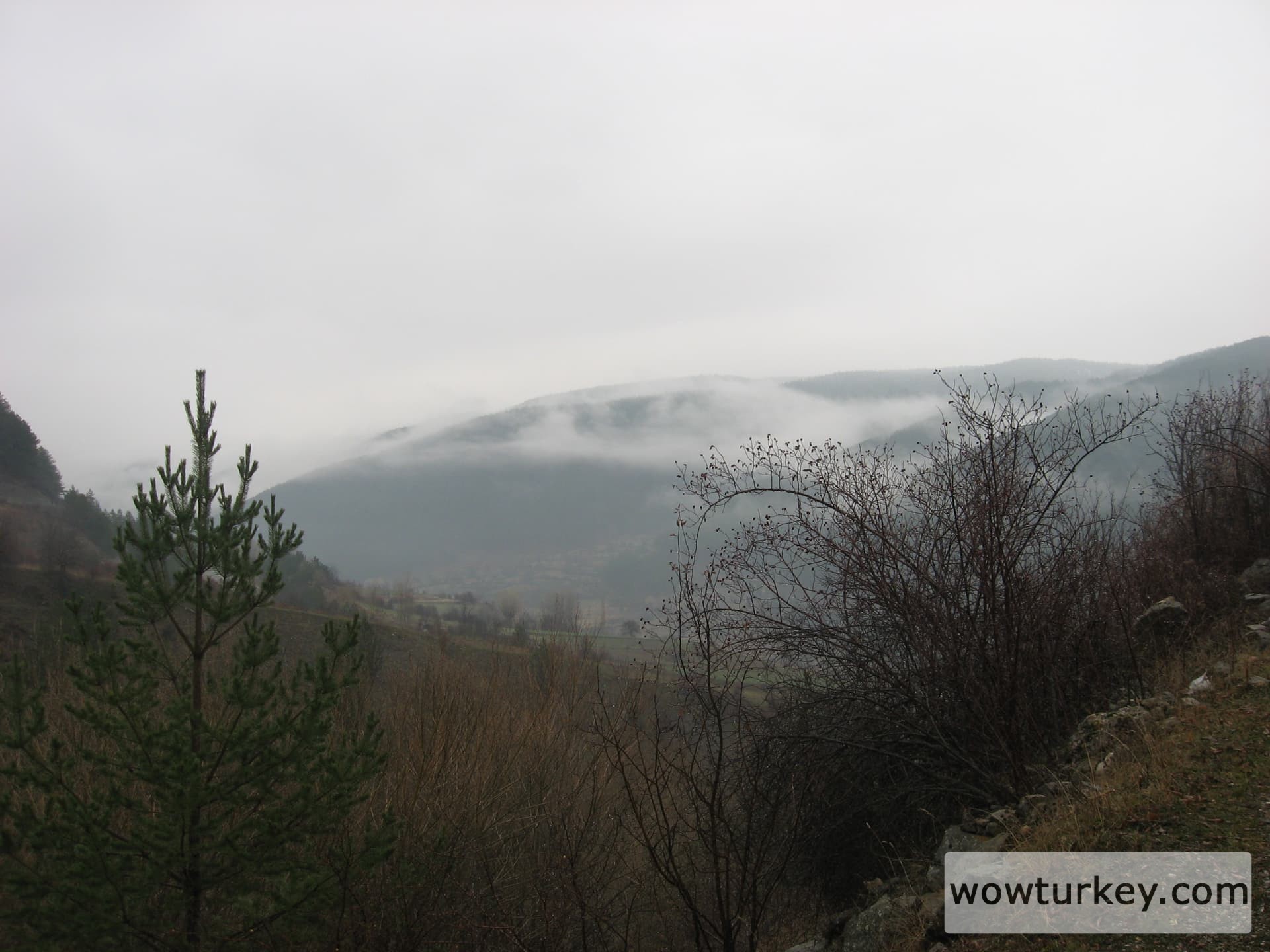 ilgazdan resimler (49)