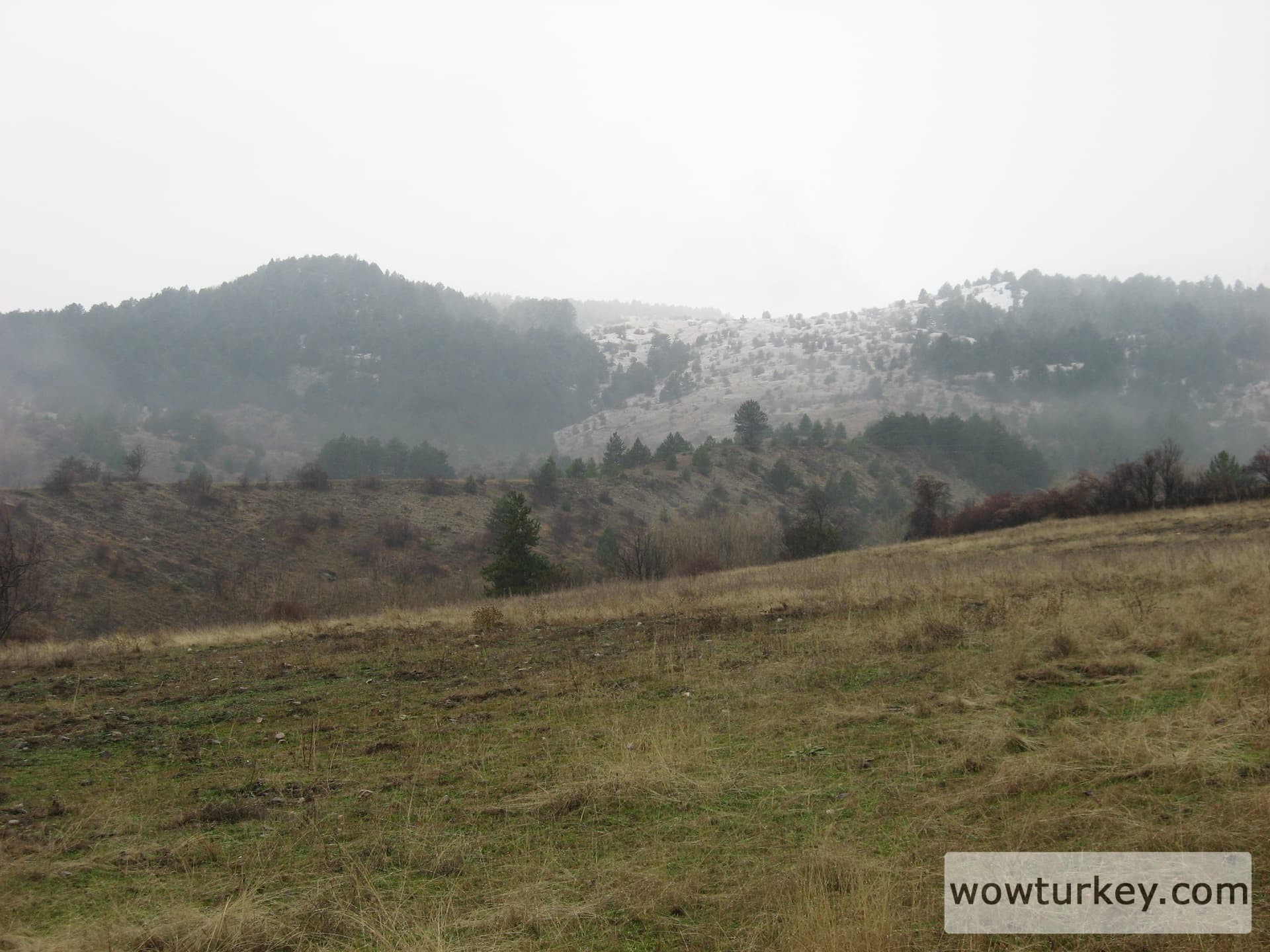 ilgazdan resimler (51)