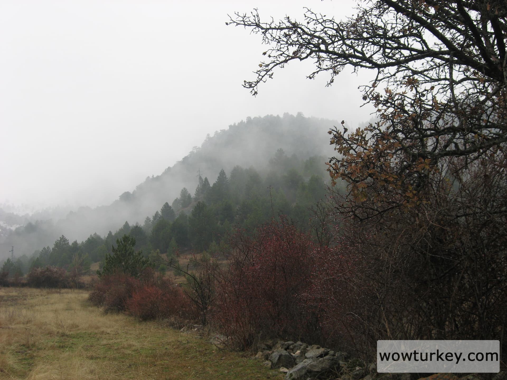 ilgazdan resimler (52)