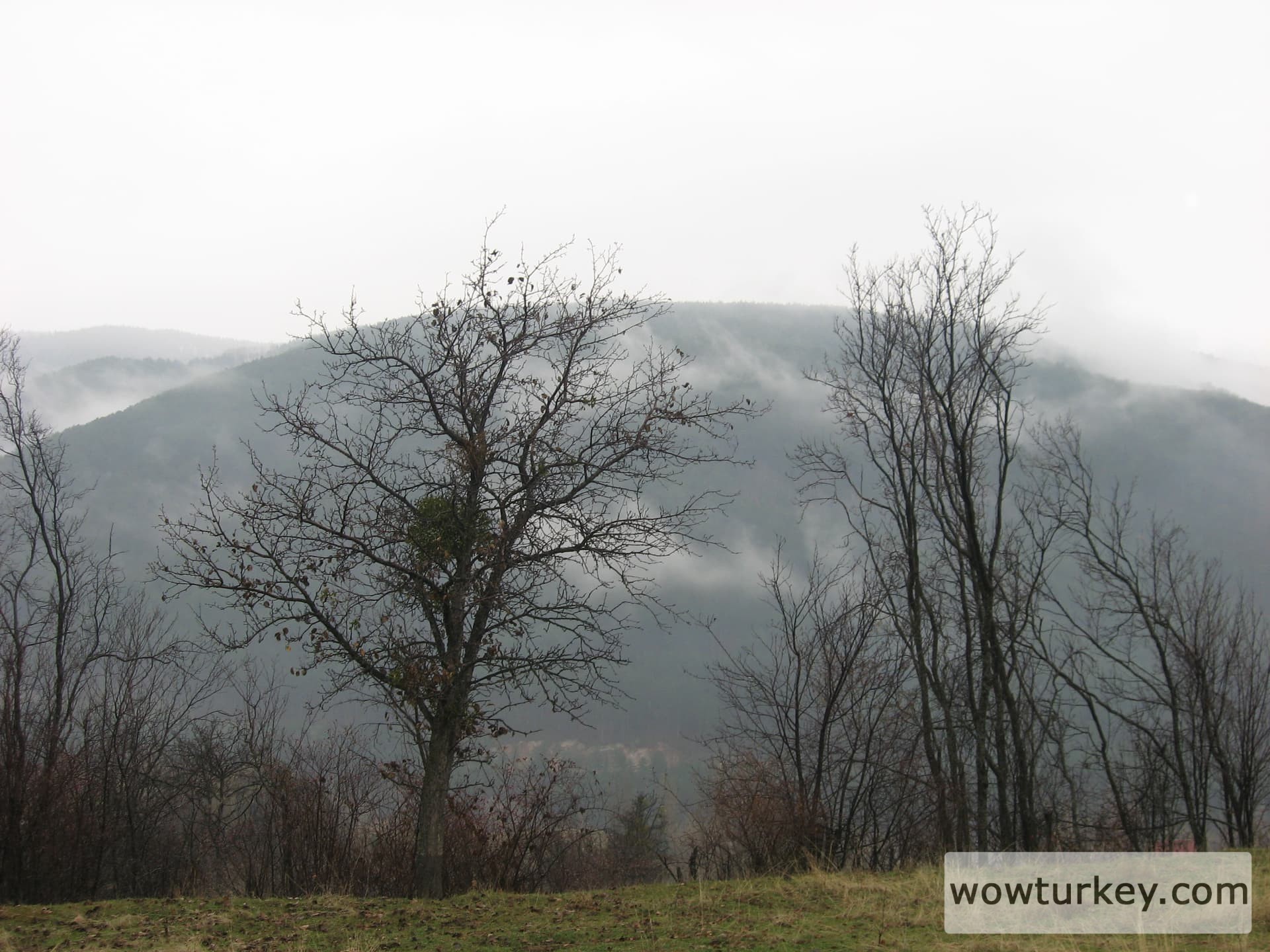 ilgazdan resimler (53)