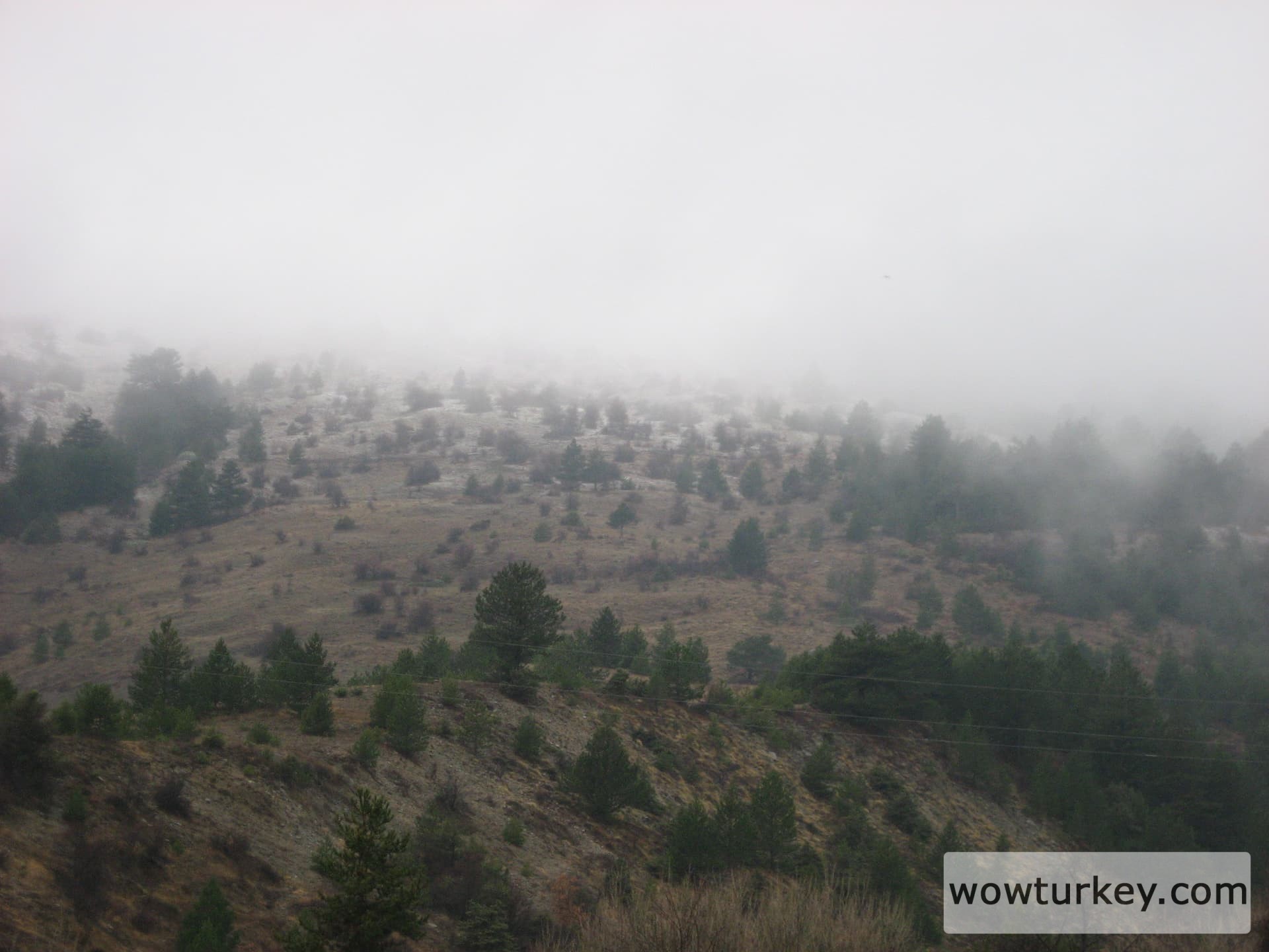 ilgazdan resimler (87)