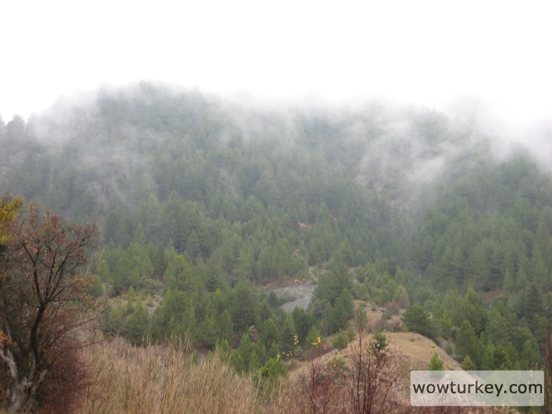 ilgazdan resimler (88)