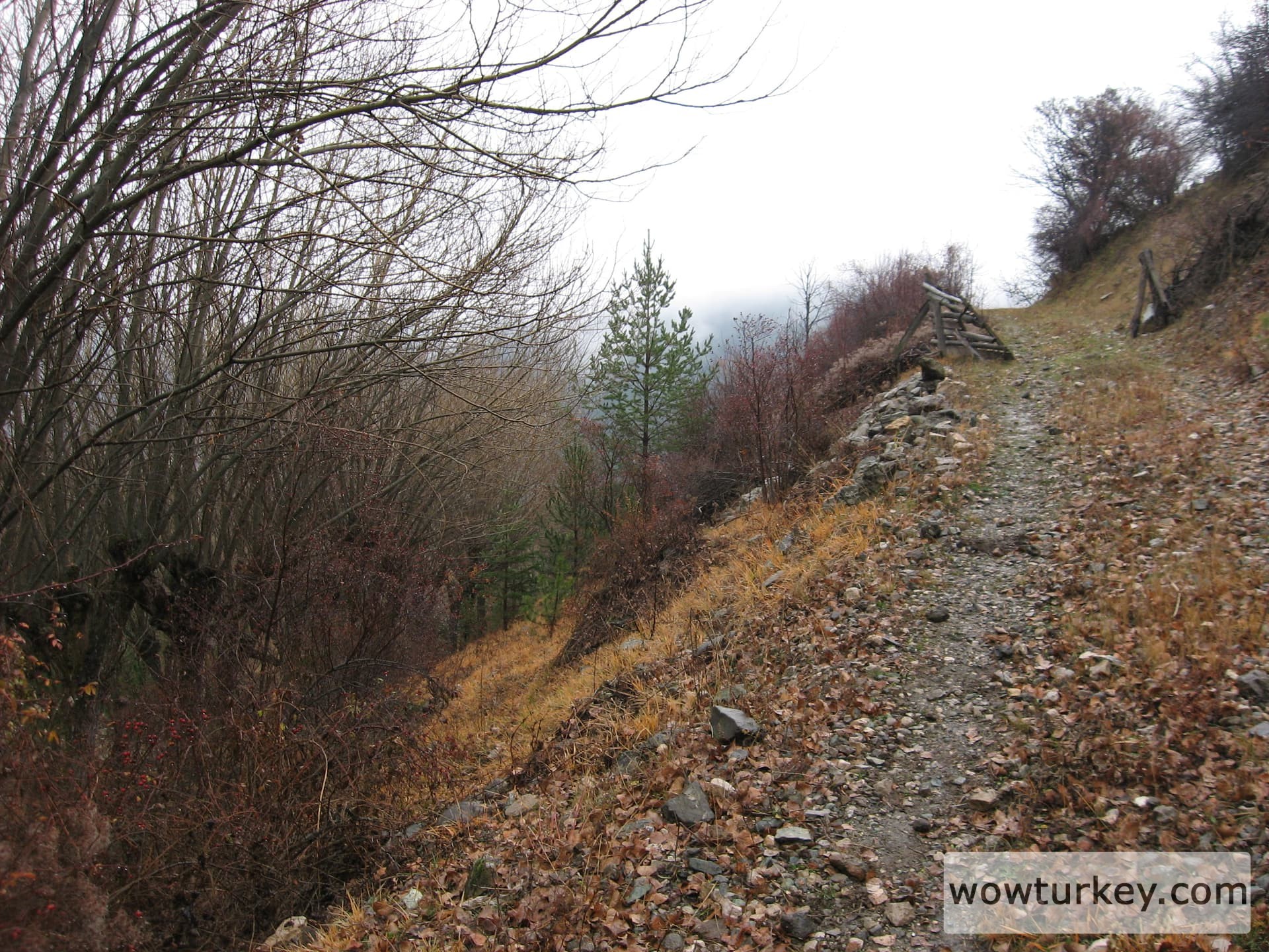 ilgazdan resimler (96)