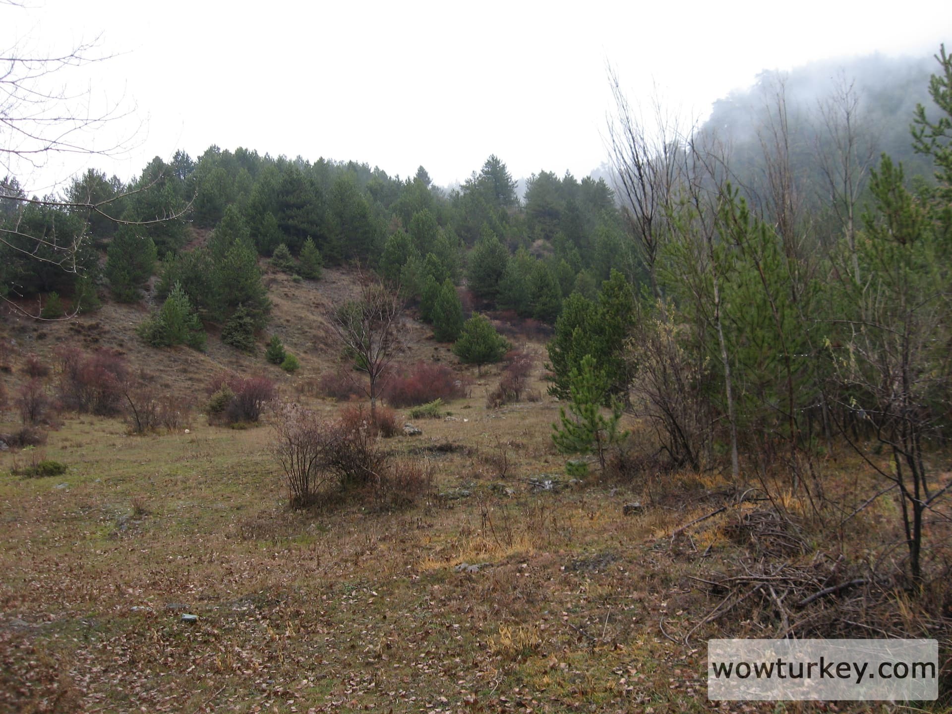 ilgazdan resimler (98)