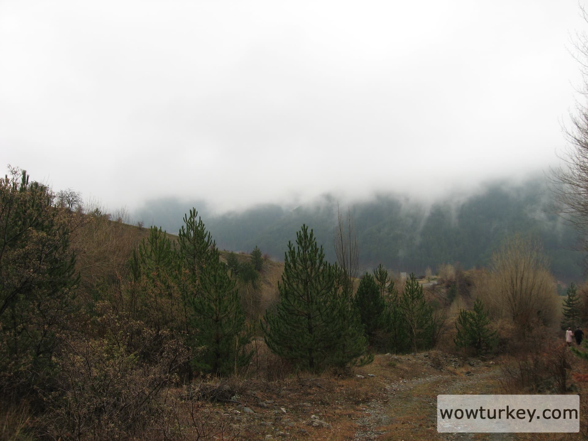 ilgazdan resimler (99)